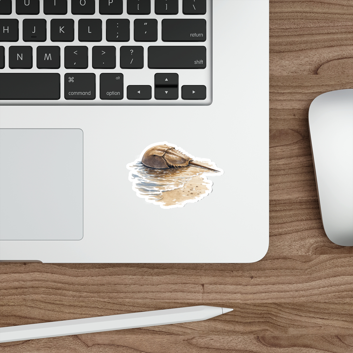 Remi the Horseshoe Crab, Matte Vinyl Die-Cut Sticker