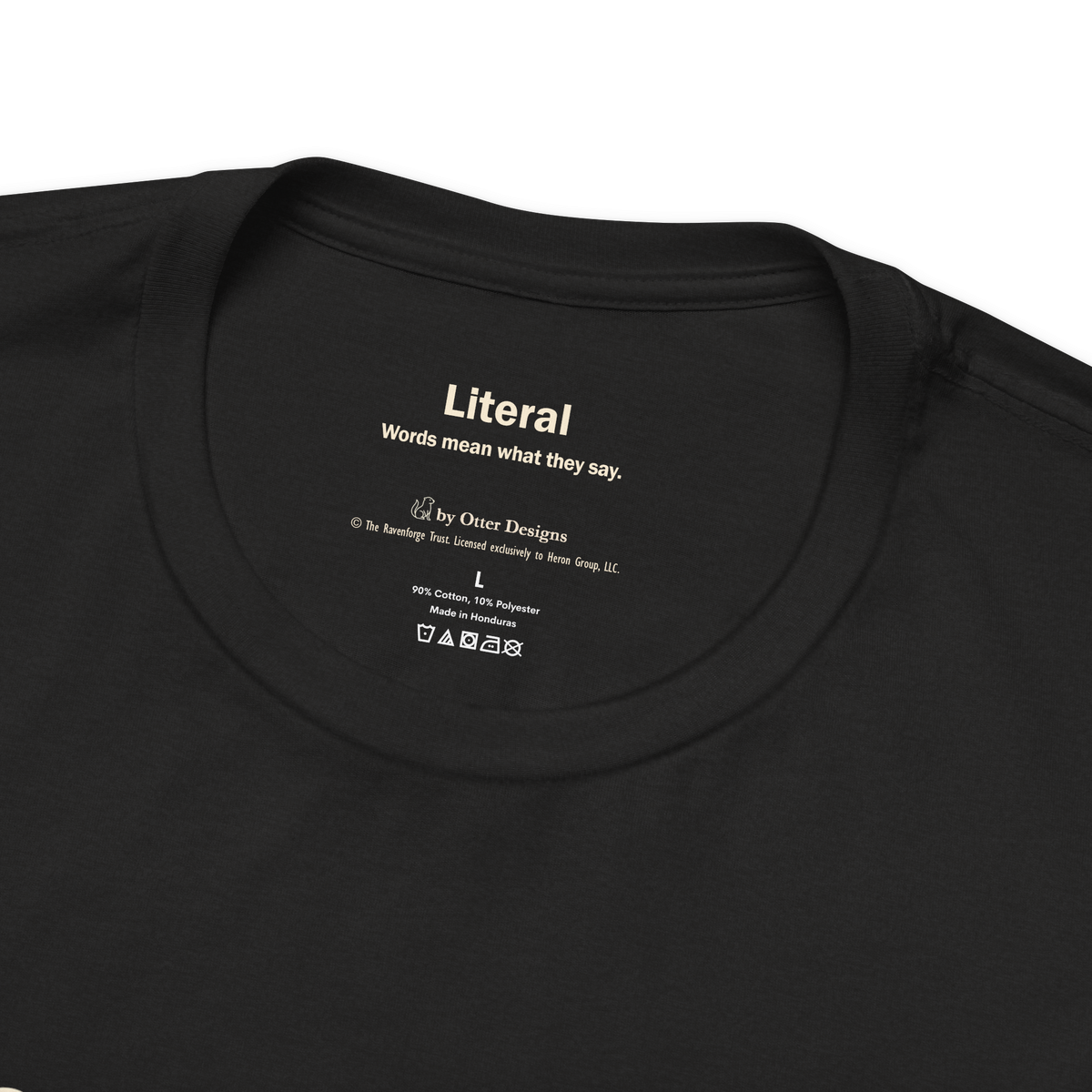 Accommodation, Not Special Treatment — Unisex T-Shirt