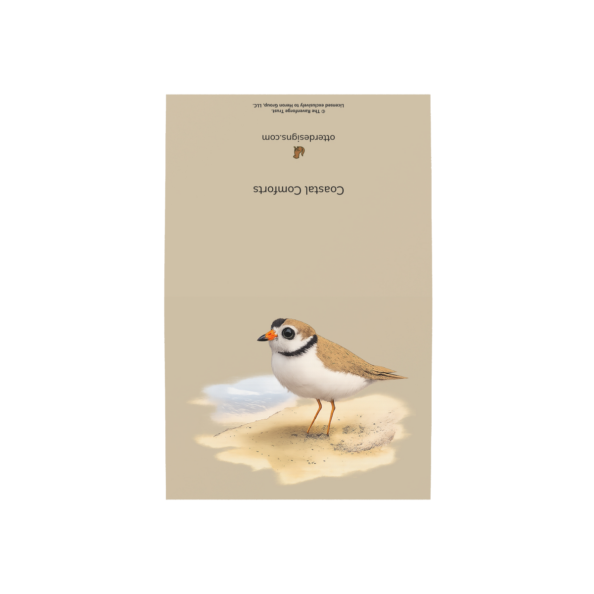 Coastal Plover Greeting Cards, 10ct
