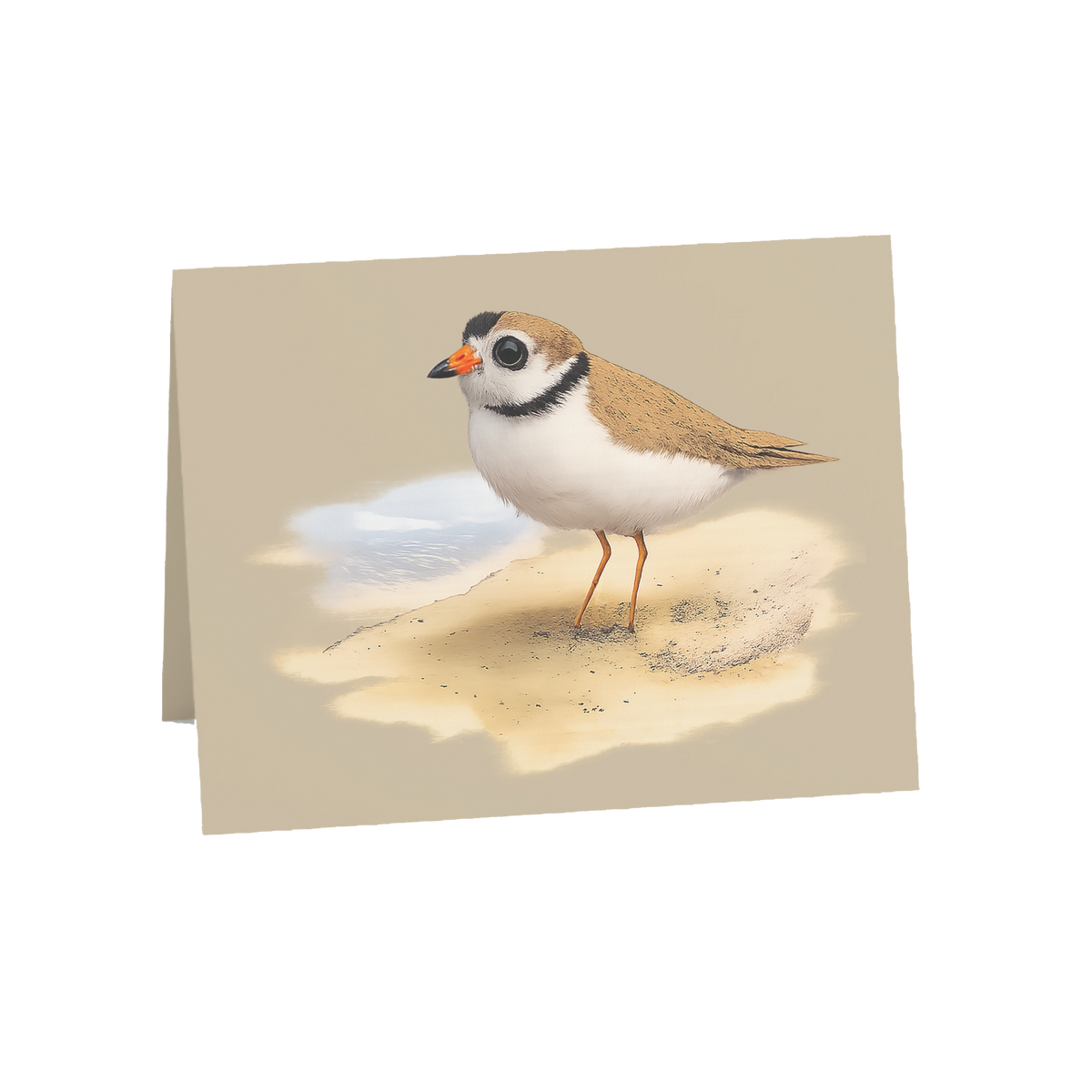 Coastal Plover Greeting Cards, 10ct